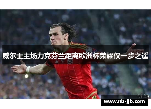 威尔士主场力克芬兰距离欧洲杯荣耀仅一步之遥