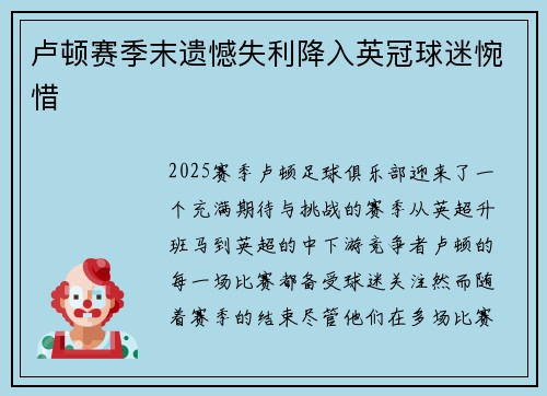 卢顿赛季末遗憾失利降入英冠球迷惋惜 卢顿赛季末遗憾失利降入英冠球迷惋惜