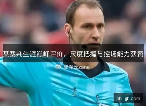 某裁判生涯巅峰评价，尺度把握与控场能力获赞