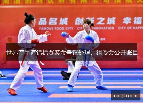 世界空手道锦标赛奖金争议处理，组委会公开账目