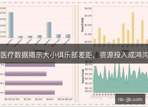 医疗数据揭示大小俱乐部差距，资源投入成鸿沟
